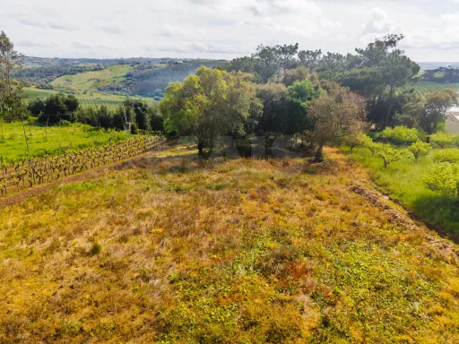 Terreno 2120m2 para construção | Azambujeira dos Carros | Bombarral
