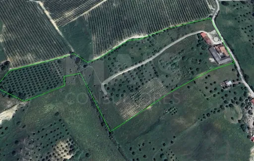 Quintinha com 6,2 Hectares, Água Abundante e 902 m² de Construção em Torres Novas