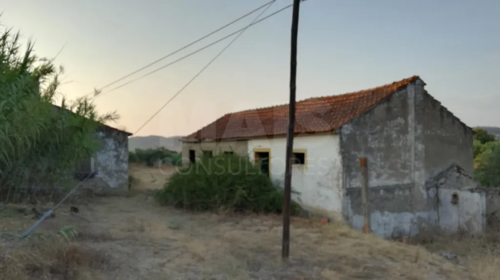 Quinta com moradia para recuperar na zona de Abrantes