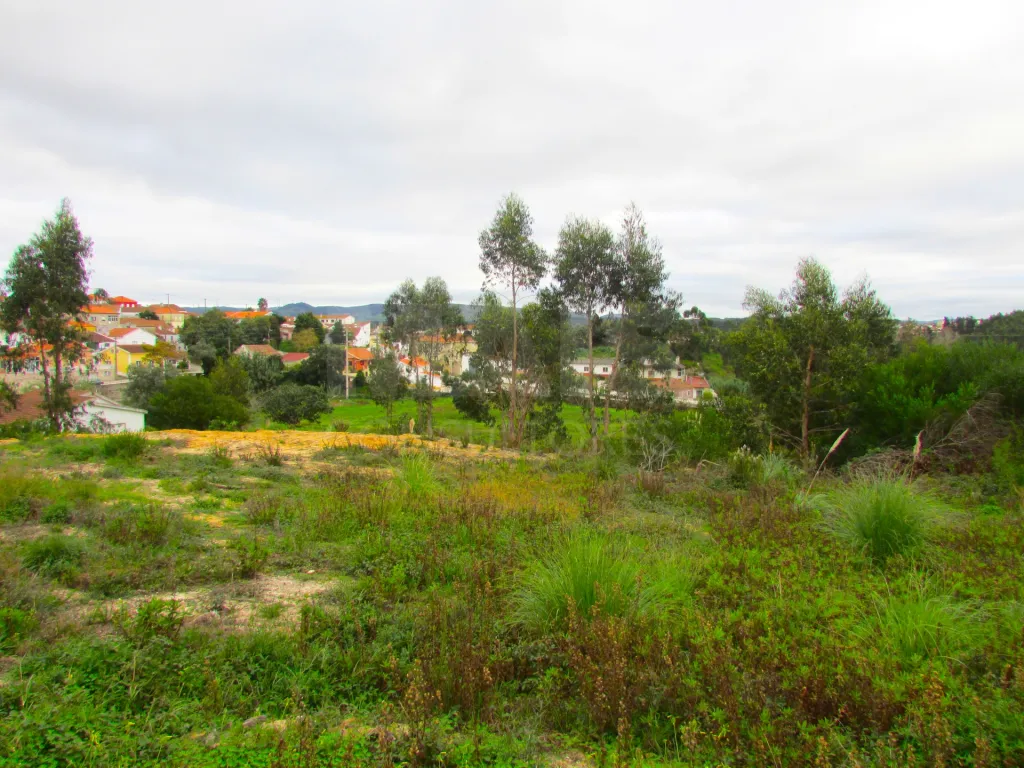 Terreno Urbanizável - 1,7ha - Torres Vedras - Ramalhal