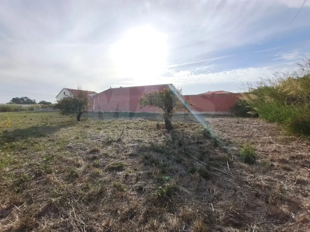 Excelente Oportunidade: Terreno Urbano para Construção no Campo (Caldas da Rainha)