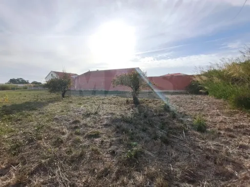 Excelente Oportunidade: Terreno Urbano para Construção no Campo (Caldas da Rainha)