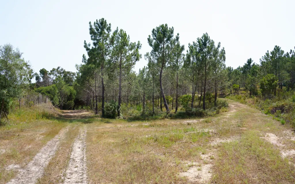 Prédio Agro Turismo Rural de Requinte – em Aljezur com 17 hectares