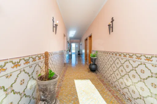 Moradia T4 com Piscina, 3 Garagens e Terreno de 3.179 m² em Almeirim