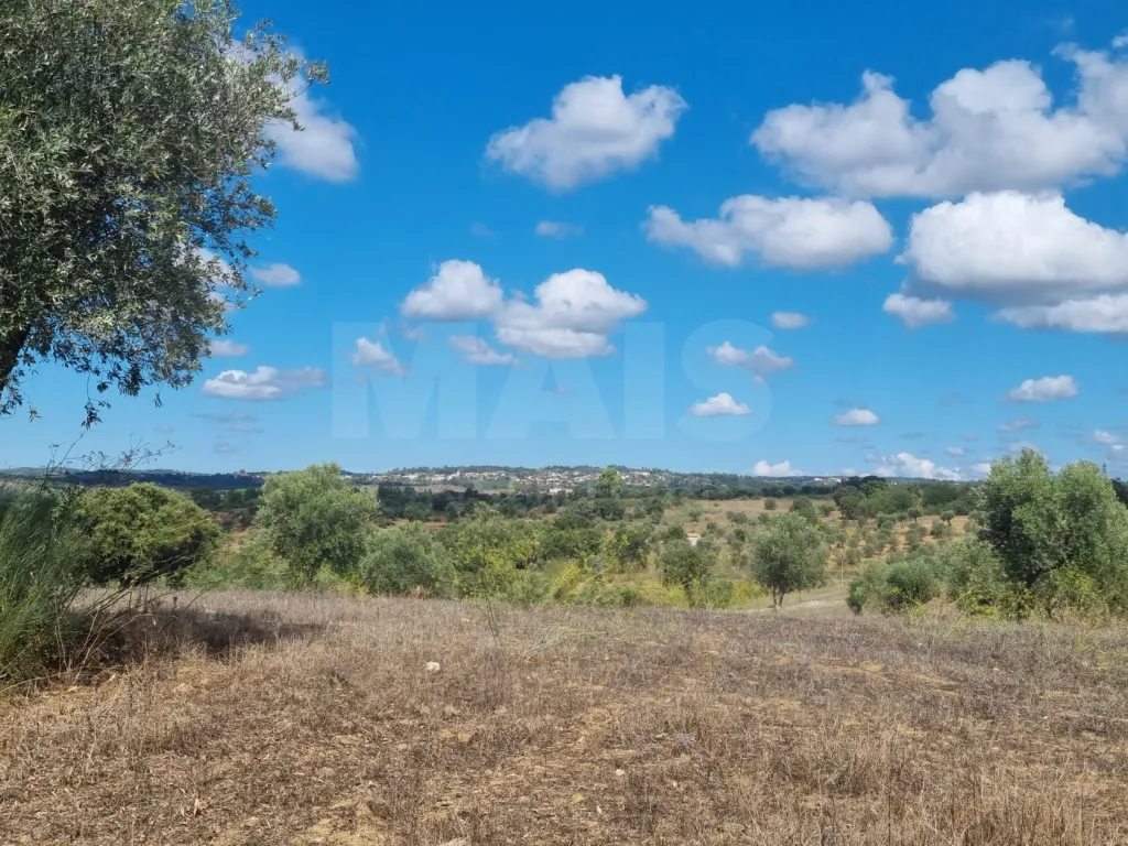 Terreno Rustico CASALINHO -MOURISCAS