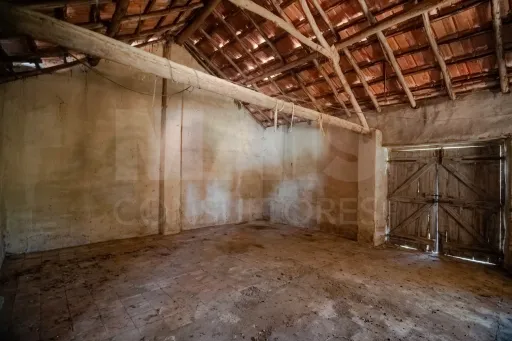 Quintinha T3 com 7.616 m² de terreno urbano e anexos (Casal do Rei)