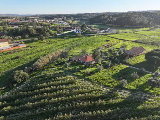 House T2+1 w/ Annex & Warehouse on 7.600m2 plot