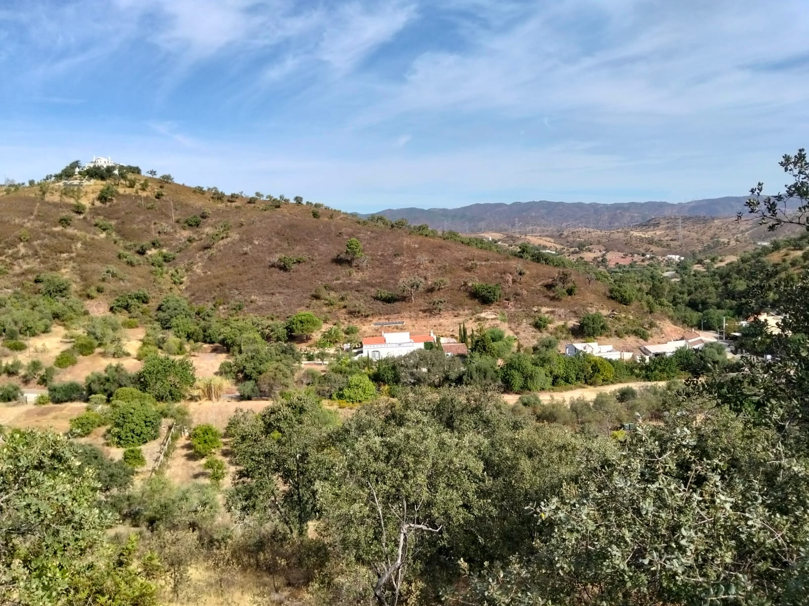 Magnifico terreno rústico no sítio do Laranjeiro em Santa Catarina Fonte do Bispo