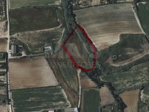 Terreno Rústico Exclusivo com Vista Mar | Natureza e Lifestyle Próximo das Praias de Peniche