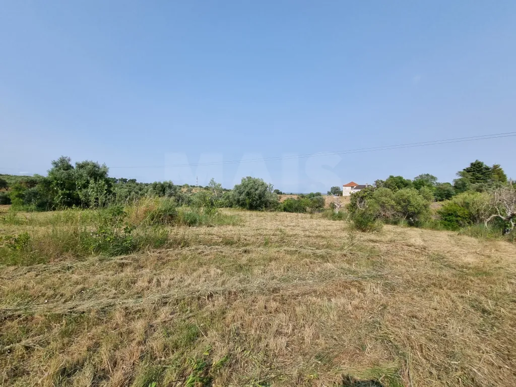 Terreno Misto com Ruina em TORRES NOVAS