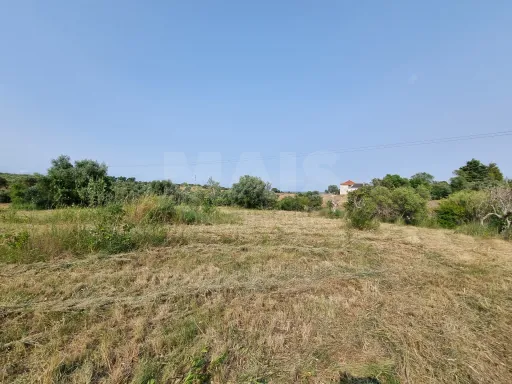 Terreno Misto com Ruina em TORRES NOVAS