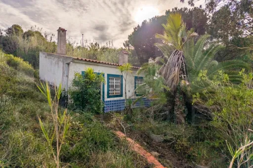 Refúgio Exclusivo na Foz do Arelho: Uma Oportunidade Única de Preservação e Natureza