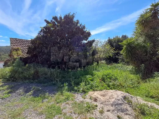 Moradia para remodelar em lote de terreno c/ 520m2