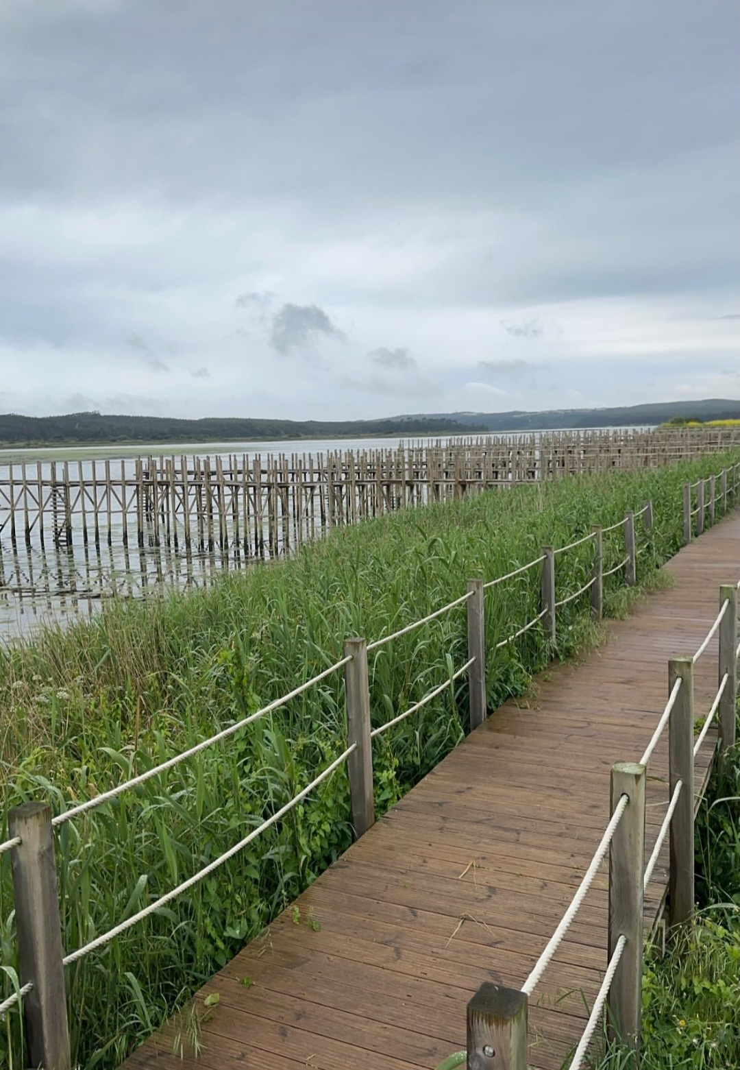 Nadadouro: Um Refúgio Entre a Lagoa e o Atlântico