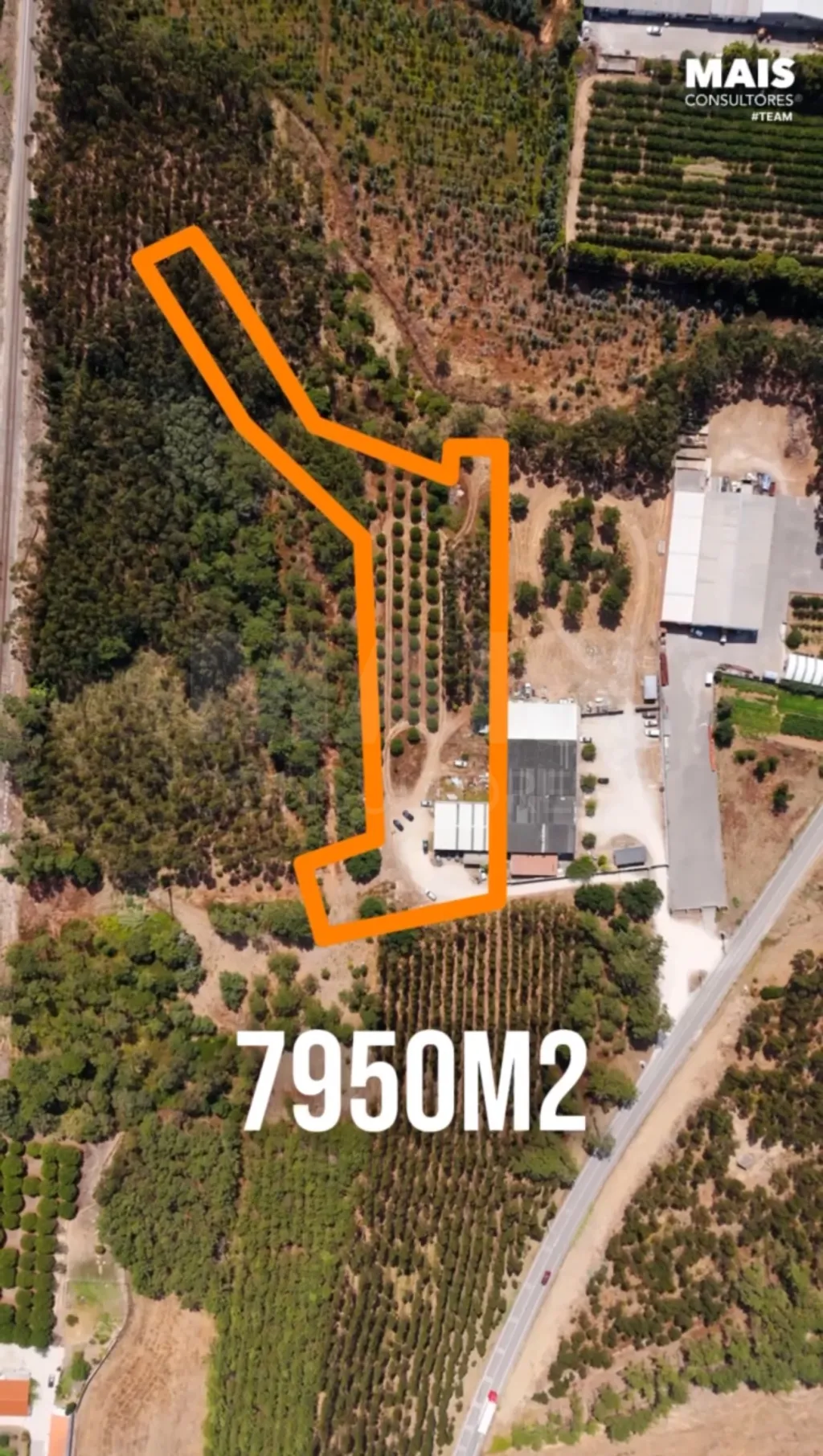 Terreno com 7950m2, perto das praias da Nazaré e São Martinho do Porto