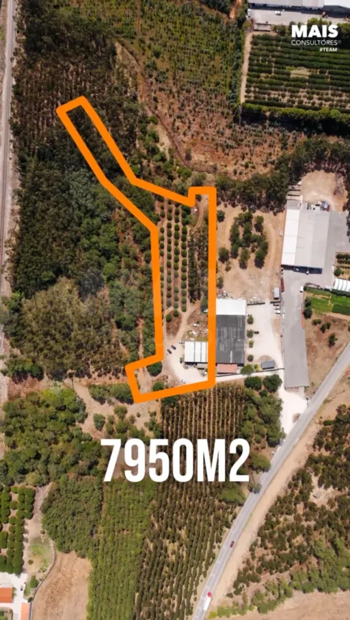 7950m2 plot of land near the beaches of Nazaré and São Martinho do Porto