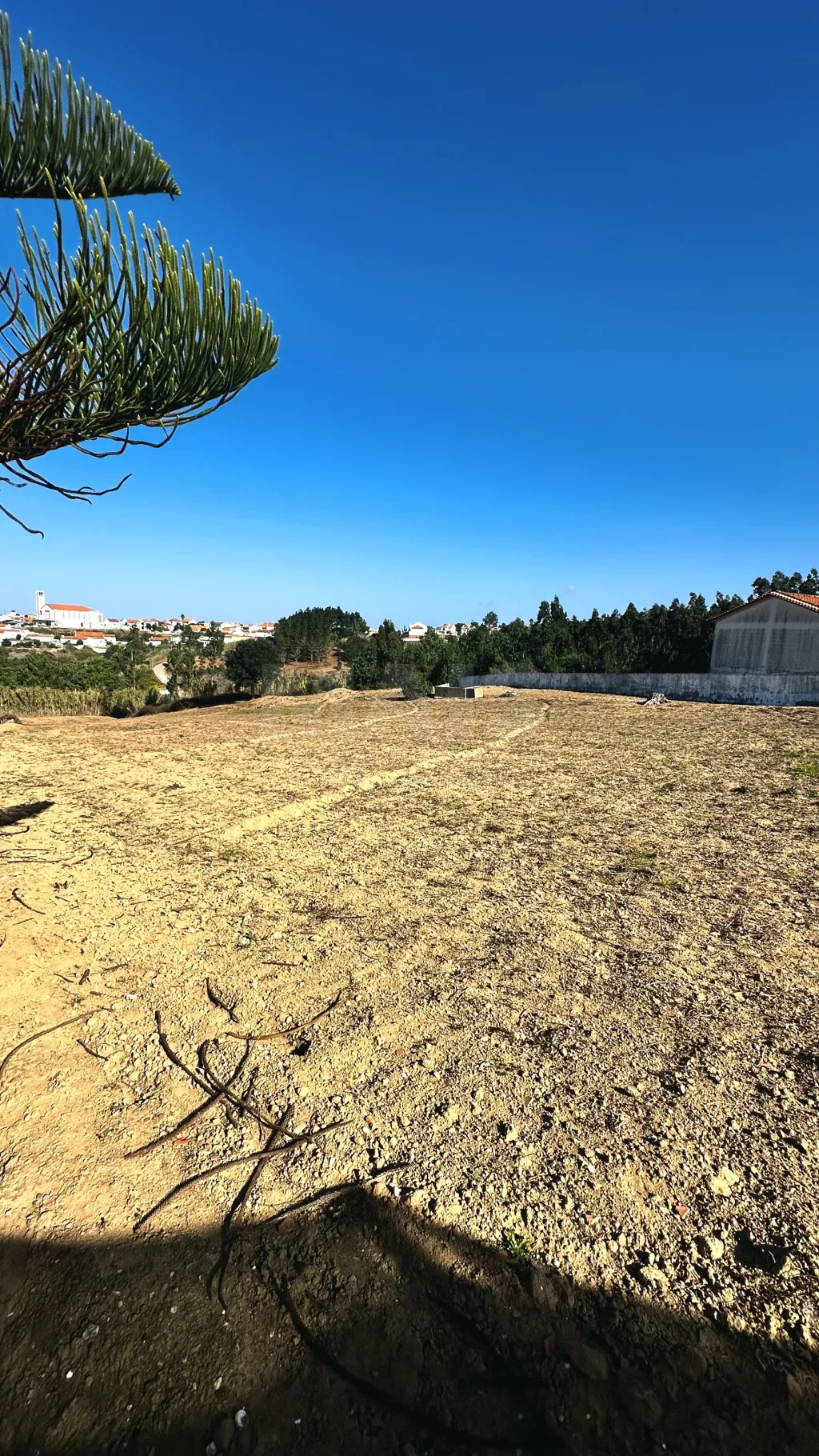 Terreno com 6.042 m² | Potencial de Construção | Santa Bárbara, Lourinhã