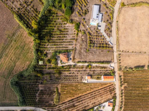 Quinta T4 C/ Garagem e mais de 13.000 m² terreno em Carvalhal, Bombarral