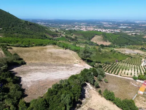 Terreno Único com PIP Aprovado na Serra de Montejunto – 22.000 m²