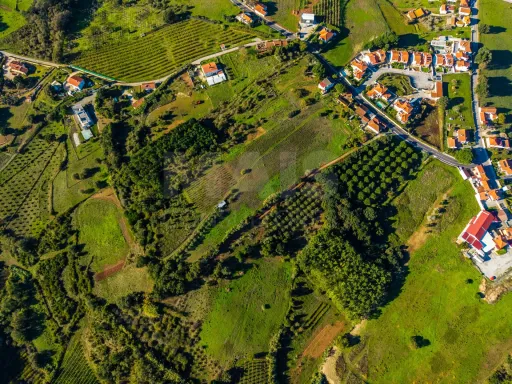 Terreno Amplo com PIP Aprovado – Ideal para Moradia Contemporânea