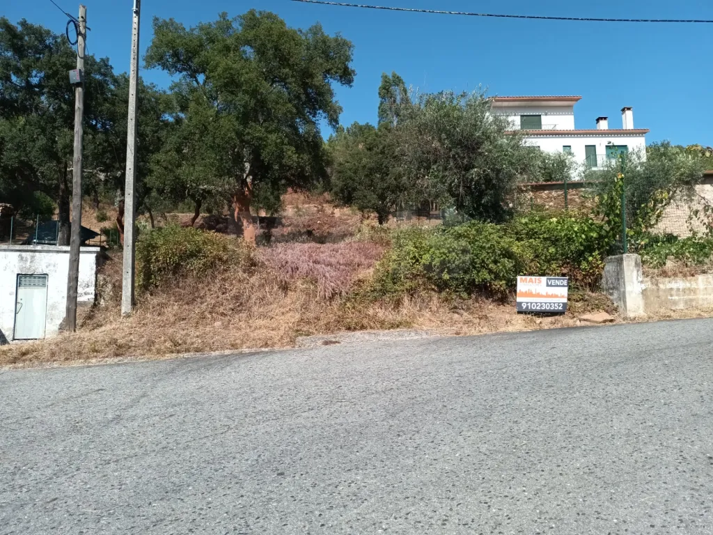 Terreno Misto, Salgueiro do Campo, Castelo Branco