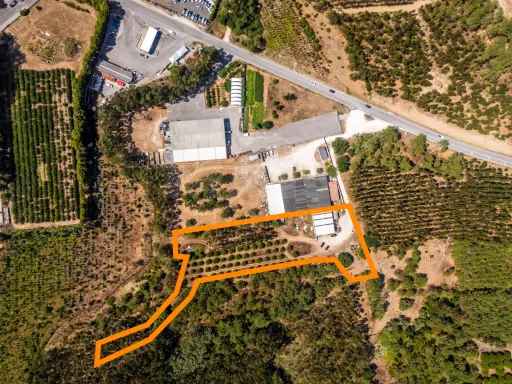 Terreno com 7950m2, perto das praias da Nazaré e São Martinho do Porto