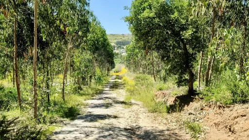 Terreno Rústico c/ 8.440m2