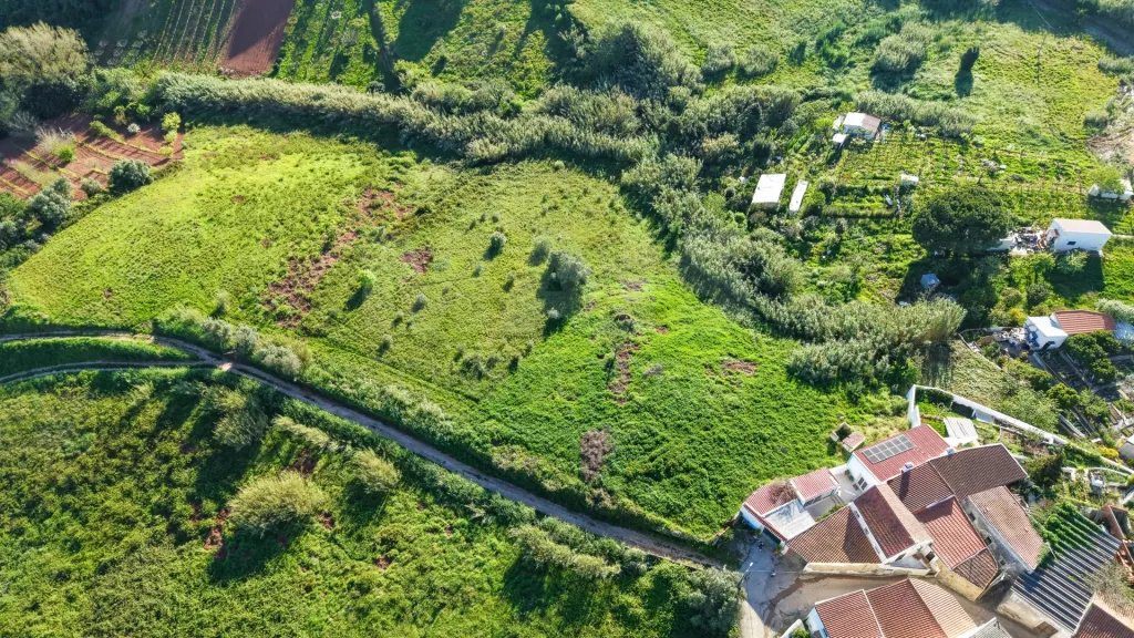 Terreno para Construção com Projeto aprovado - 10 minutos de Torres Vedras