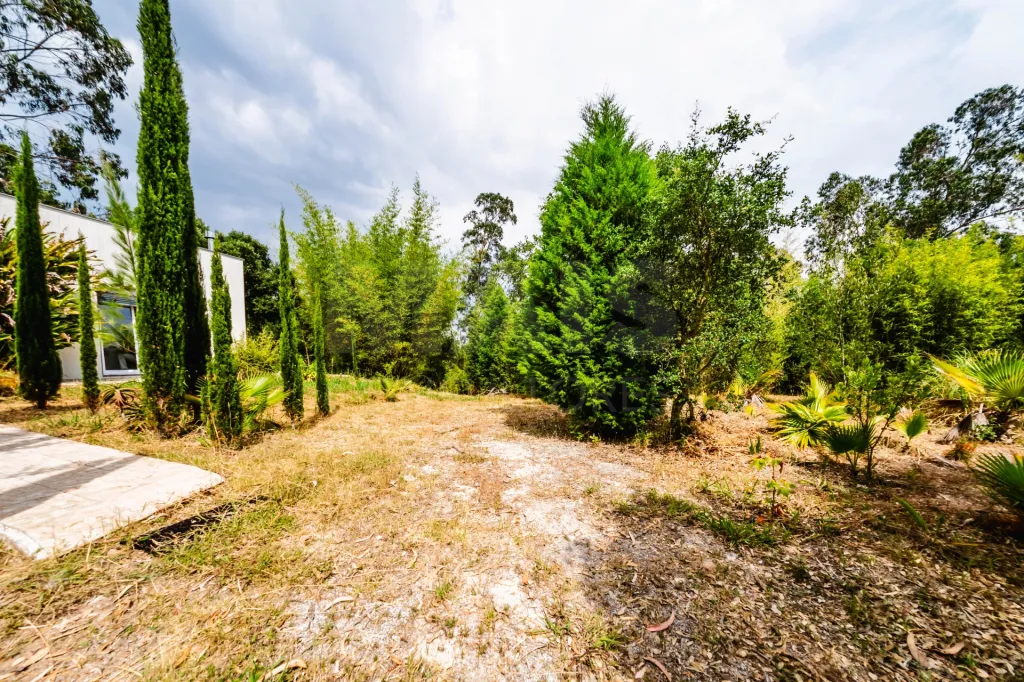 A 19,523 m² lot with enormous potential