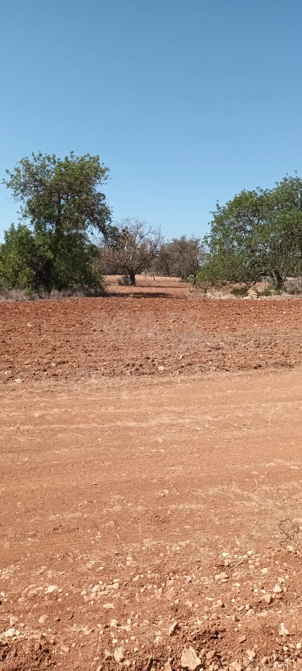 Terreno urbano com ruina / rustico
