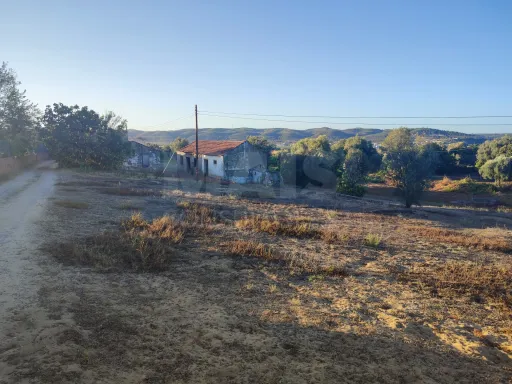 Quinta com moradia para recuperar na zona de Abrantes