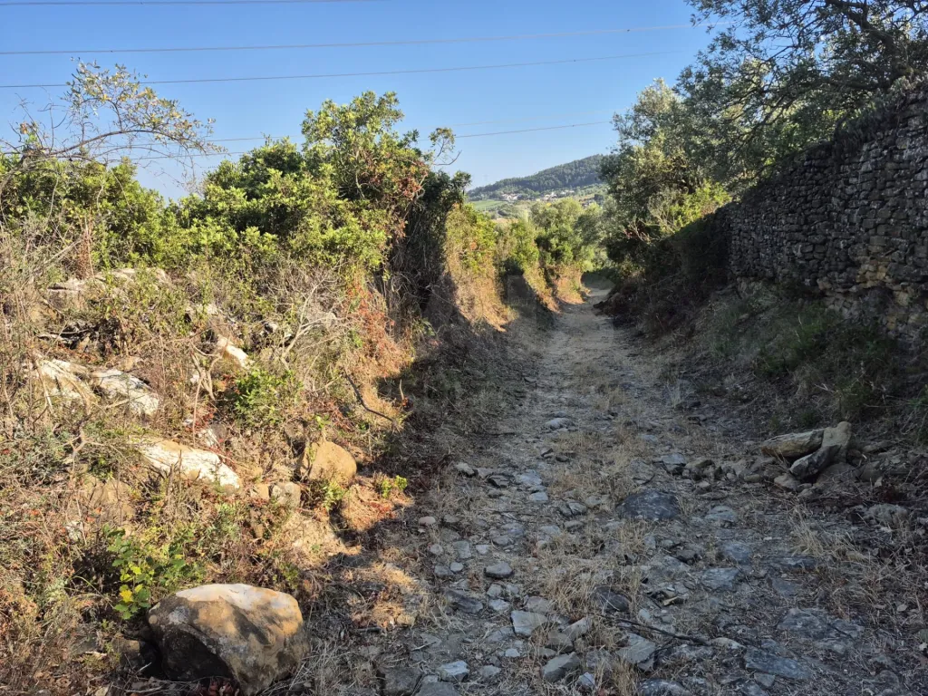 14,680 m² of rural land in S. João dos Montes - Alhandra