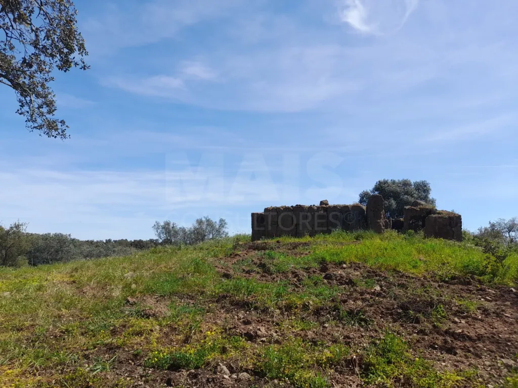 Terreno Urbano com 8.4 H em Melides