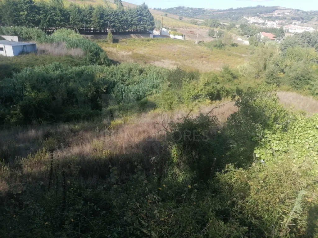 Terreno rústico Sobral de Monte Agraço