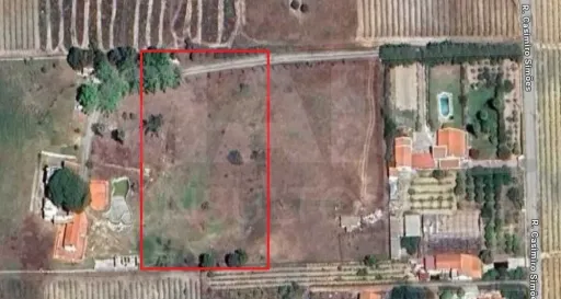 Terreno rústico 6.000m2 situado em Lau-Palmela