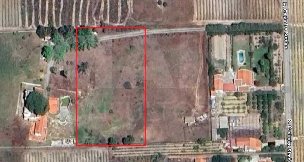 Terreno rústico 6.000m2 situado em Lau-Palmela