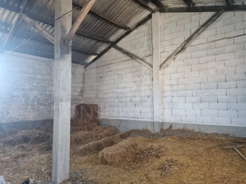 Small Farm with 6.2 Hectares, Abundant Water and 902 m² of Construction in Torres Novas