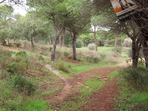 Lote de terreno em Vale Verde Almancil