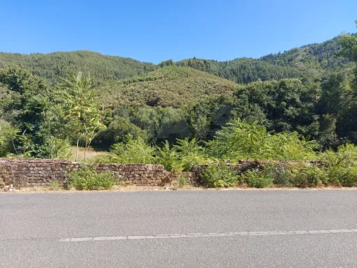 Terreno Rústico para produção florestal com 4960m2 Pisão / Côja