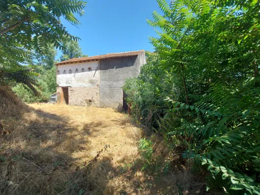 Ruin with land in Pisão / Côja.