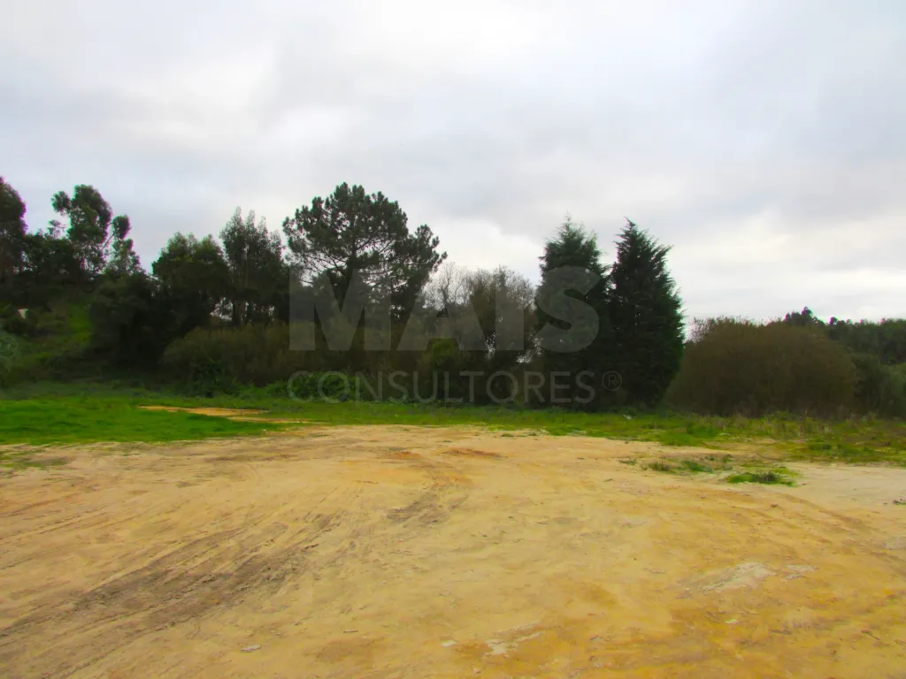 Terreno Misto - 1ha - Torres Vedras - Ramalhal