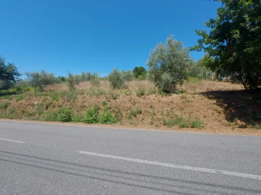 Rustic land with 2425m2 Pisão - Côja.