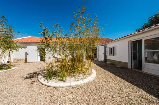 Imóvel com Vista Mar e Elevado Potencial Turístico a Minutos das Praias de Peniche