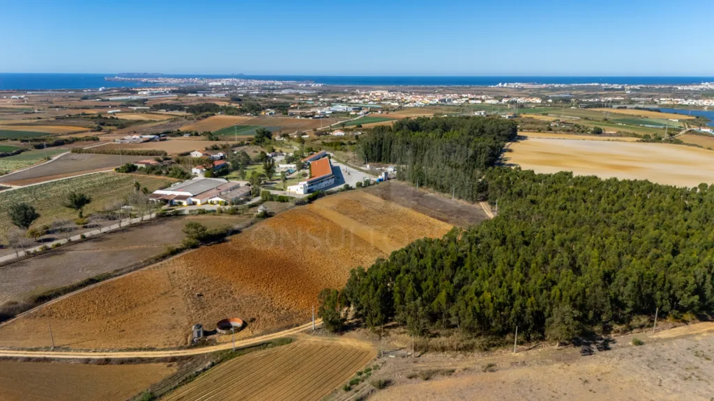 Parcela de terreno rústico de 2.350m2 em Atouguia da Baleia