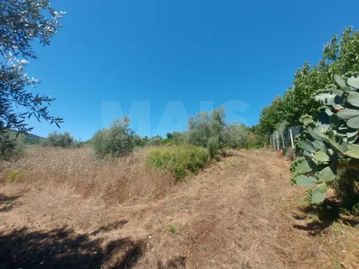 Terreno Rustico com 2425m2 Pisão - Côja.
