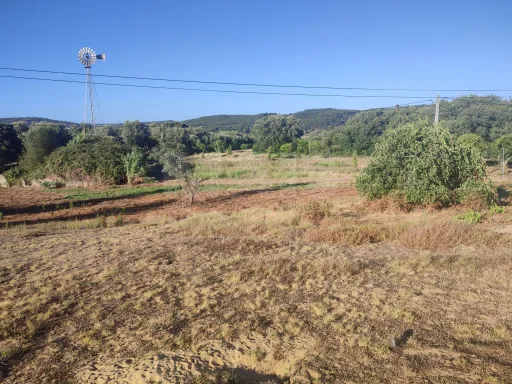 Quinta com moradia para recuperar na zona de Abrantes