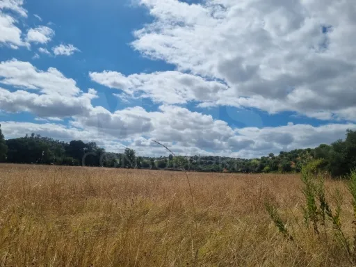 Terreno Rustico Ribeira Branca TORRES NOVAS