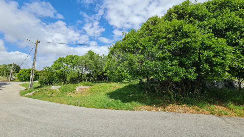 Terreno com 2 280m² em Cezaredas – Oportunidade Única!