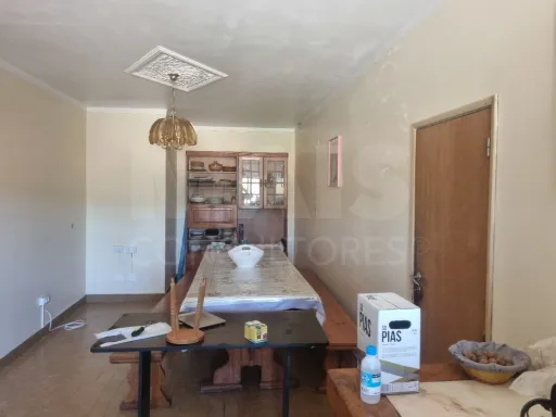 Quintinha com 6,2 Hectares, Água Abundante e 902 m² de Construção em Torres Novas
