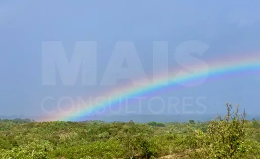 Herdade  com 40,85 hectares em São Bartolomeu da Serra, Santiago do Cacém